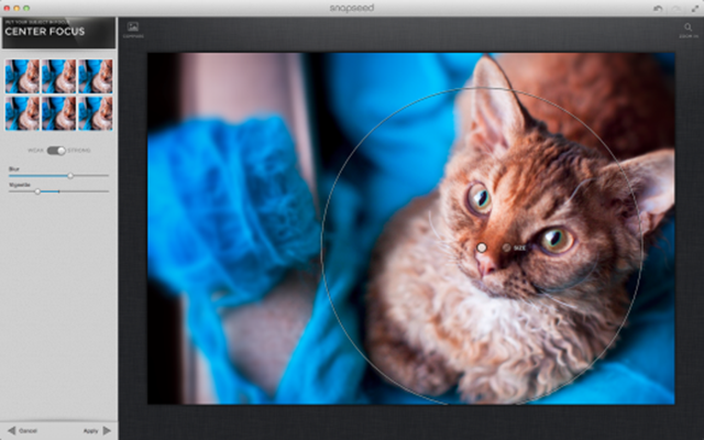 Snapseed-Desktop-App-Store-Screenshot-Center-Focus-520x325