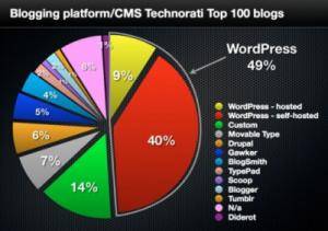 WordPress  49%