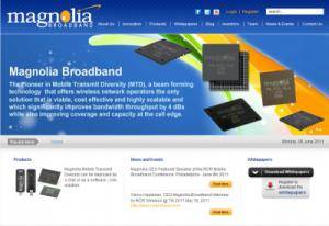 Google 购买 Magnolia Broadband 50 多项专利