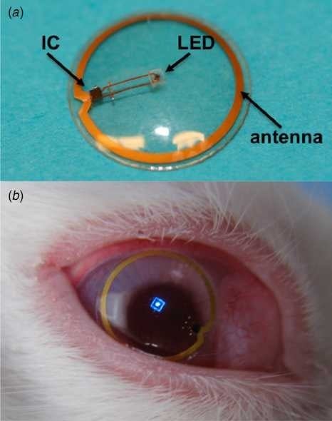 One Pixel LED Contact Lens