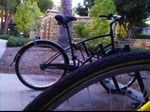 pelicanbicyclefocus3