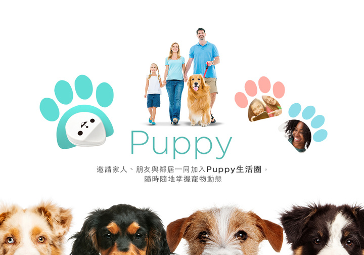 Puppy_media_04