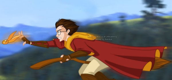 quidditch_by_katikut-d49wexh