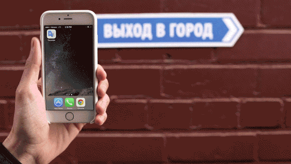 GOOGLE STREET TRANSLATE