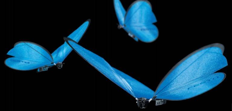 festo-bionicants-flexshapegripper-emotionbutterflies