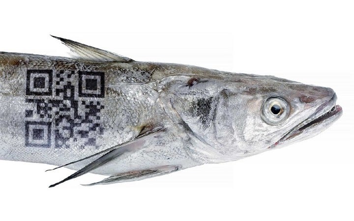 fishwith qrcode