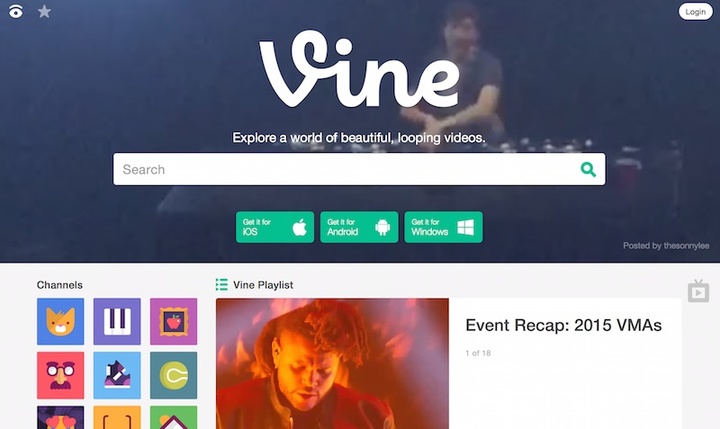 vine