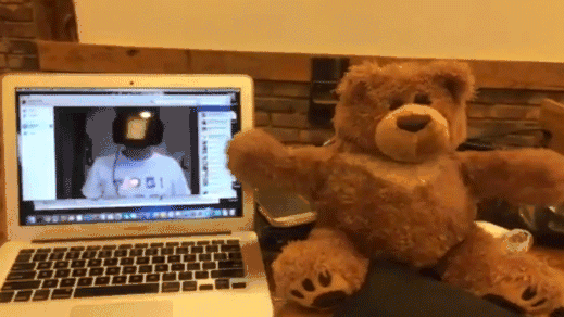 bearx519
