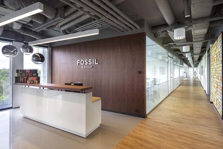 Fossil-1