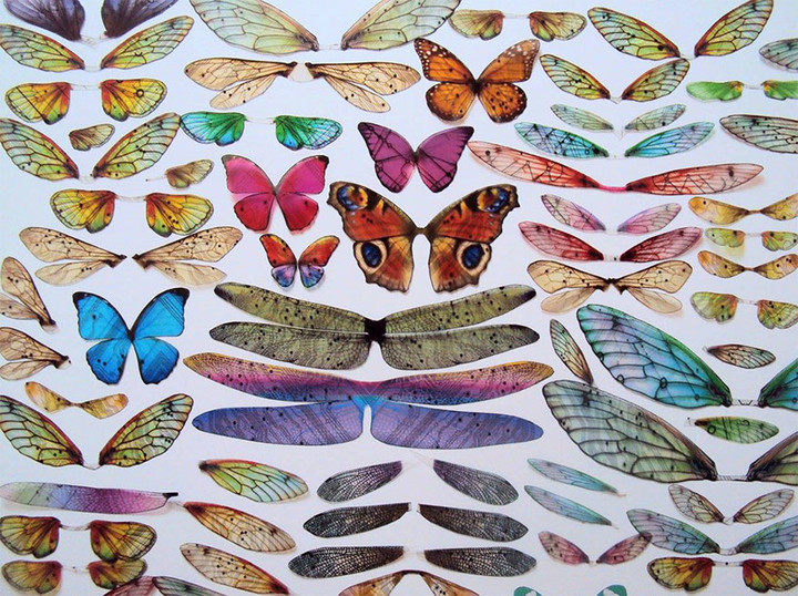circuit-board-winged-insects-dew-leaf-julie-alice-chappell-1