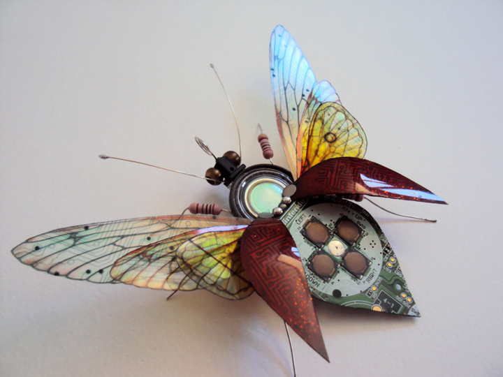 circuit-board-winged-insects-dew-leaf-julie-alice-chappell-10
