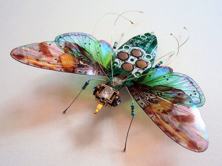 circuit-board-winged-insects-dew-leaf-julie-alice-chappell-2
