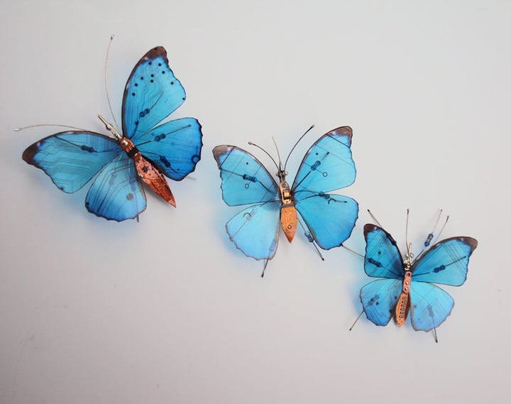 circuit-board-winged-insects-dew-leaf-julie-alice-chappell-23