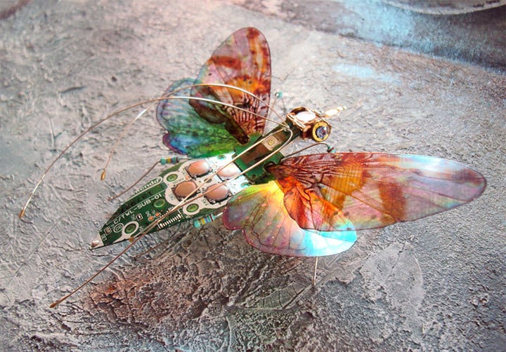 circuit-board-winged-insects-dew-leaf-julie-alice-chappell-3