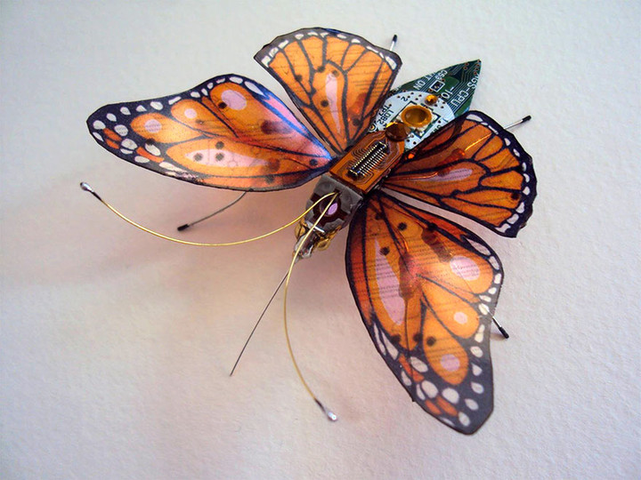 circuit-board-winged-insects-dew-leaf-julie-alice-chappell-4