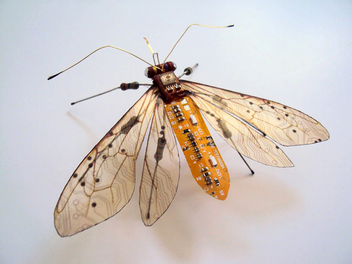 circuit-board-winged-insects-dew-leaf-julie-alice-chappell-5