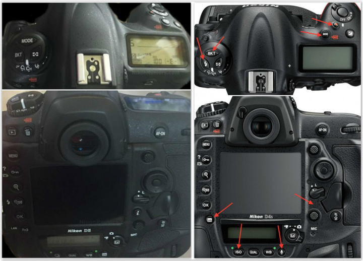 D5D4