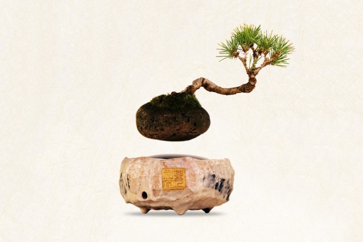 air-bonsai-floating-tree-01-960x640