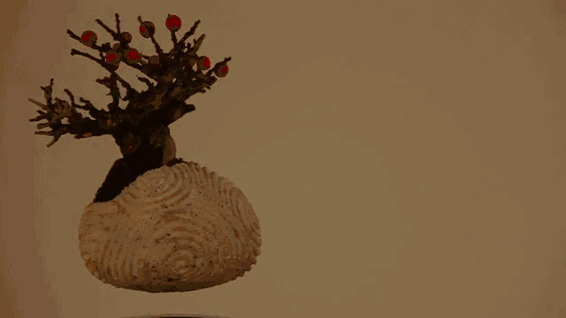 ezgif.com-video-to-gif (15)