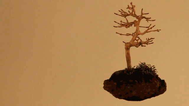 ezgif.com-video-to-gif (16)