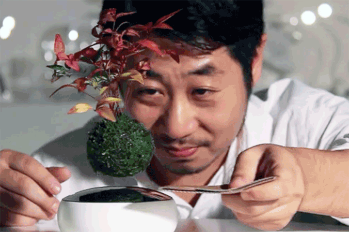 floating-air-bonsai-garden-by-hoshinchu-defies-gravity-designboom-01