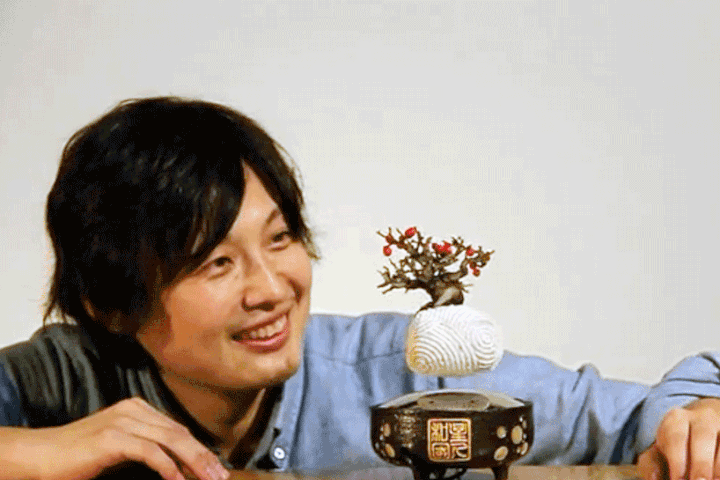 floating-air-bonsai-garden-by-hoshinchu-defies-gravity-designboom-02
