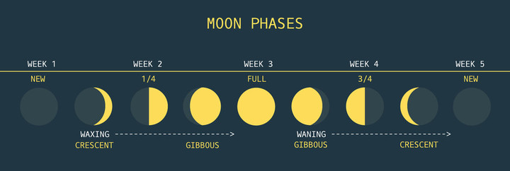 Lunar Phase