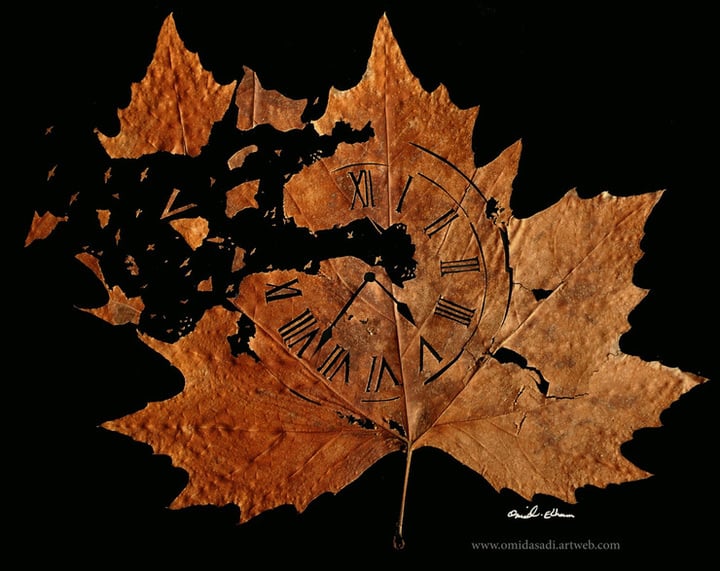 Delicate-Leaf-Cuttings-by-Omid-Asadi-12