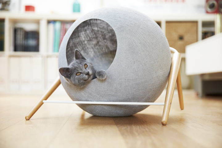 the-ball-is-an-organic-balance-between-wood-and-metal-meyou-writes-on-its-website-a-cocoon-that-your-cat-will-not-resist