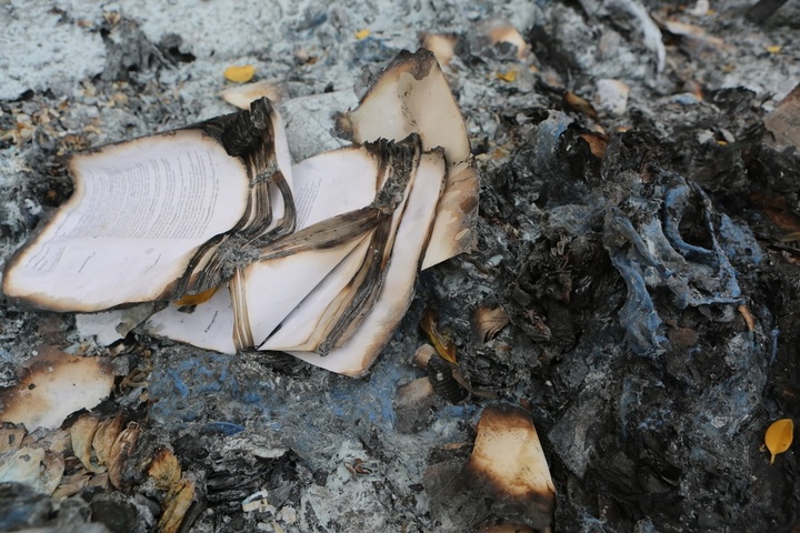 book-book-pages-burned-pages-large