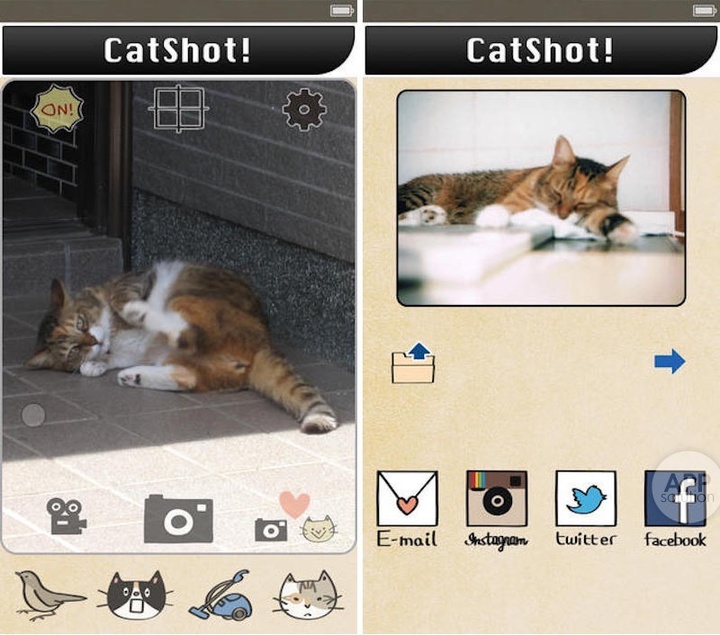 catshot 2