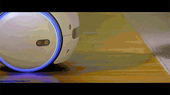 ltgjg1