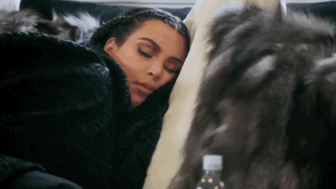 giphy (33)