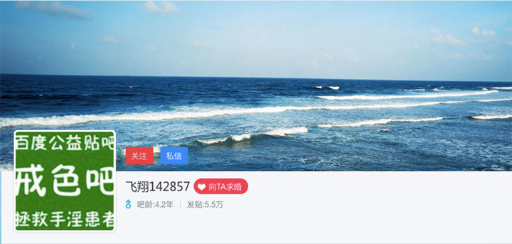 screenshot-of-id-feixiang-in-jiese-baidu-post-bar