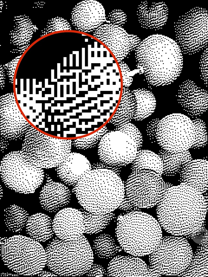 bitcam 靠抖动算法,决定黑白像素的密集程度,来呈现不同灰度,这是因为