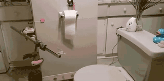 automated toilet paper-dispensing machine