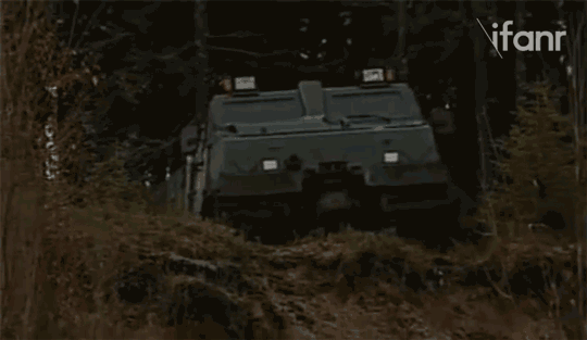 bv206g1