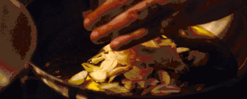 giphy (1)