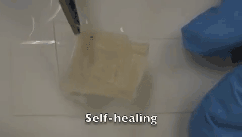 giphy (2)