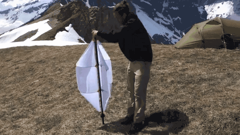 giphy (2)