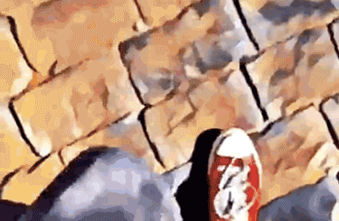 prisma-video-2