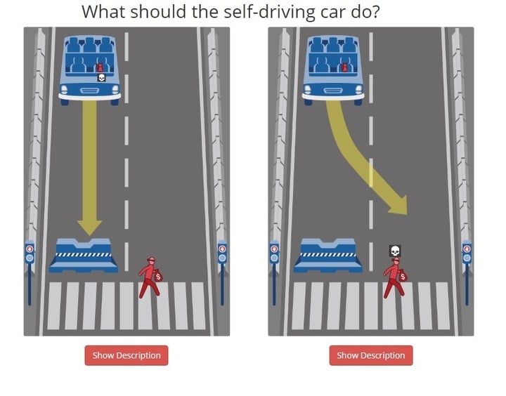 self driving car ethics cat and criminal