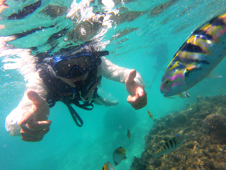 Diving 1 @Yuguo_Tokashiki-jima_Japan