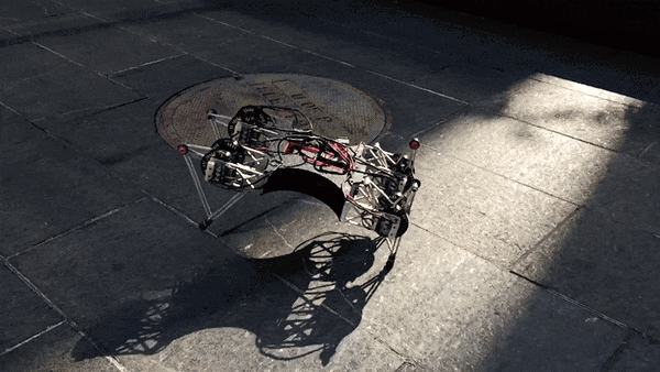 background_gif_LR_COMP