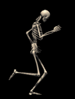14775581779258