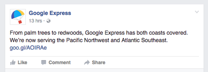 Google Express fb capture