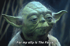 giphy0