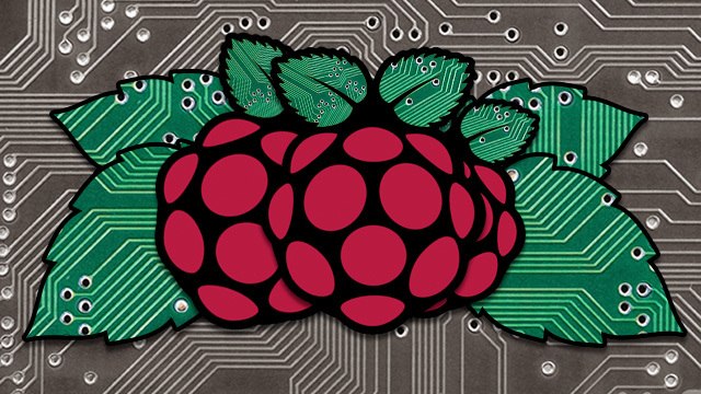 raspberry-pi-berries