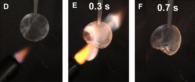 stanford-flame-retardant-separator