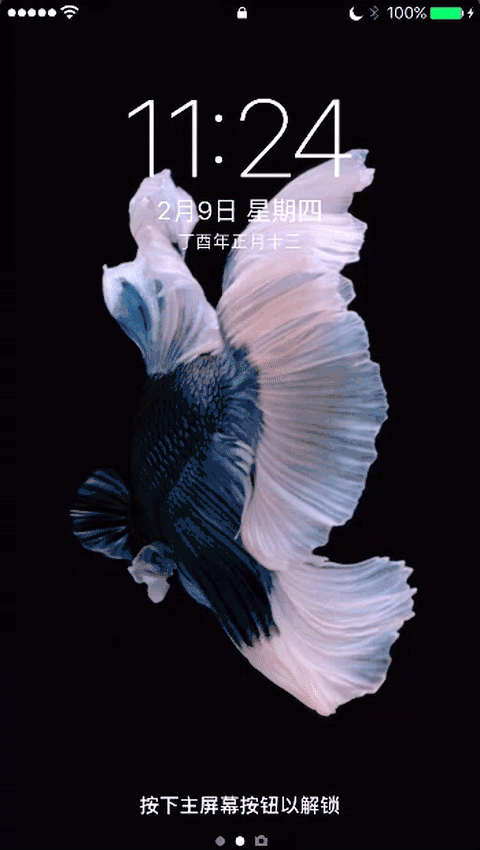2-09-2017-11-26-48